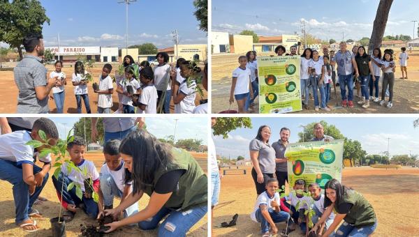 Prefeitura de Barra do Ouro celebra o Dia da Árvore com ação educativa e plantio de mudas